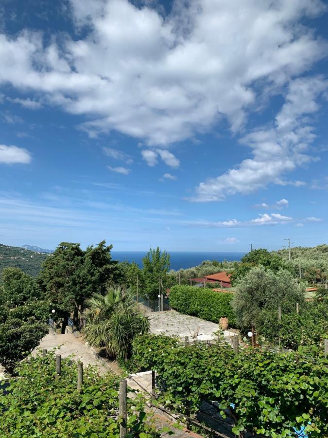 La Casa Del Sole Bed & Breakfast Vico Equense Eksteriør bilde
