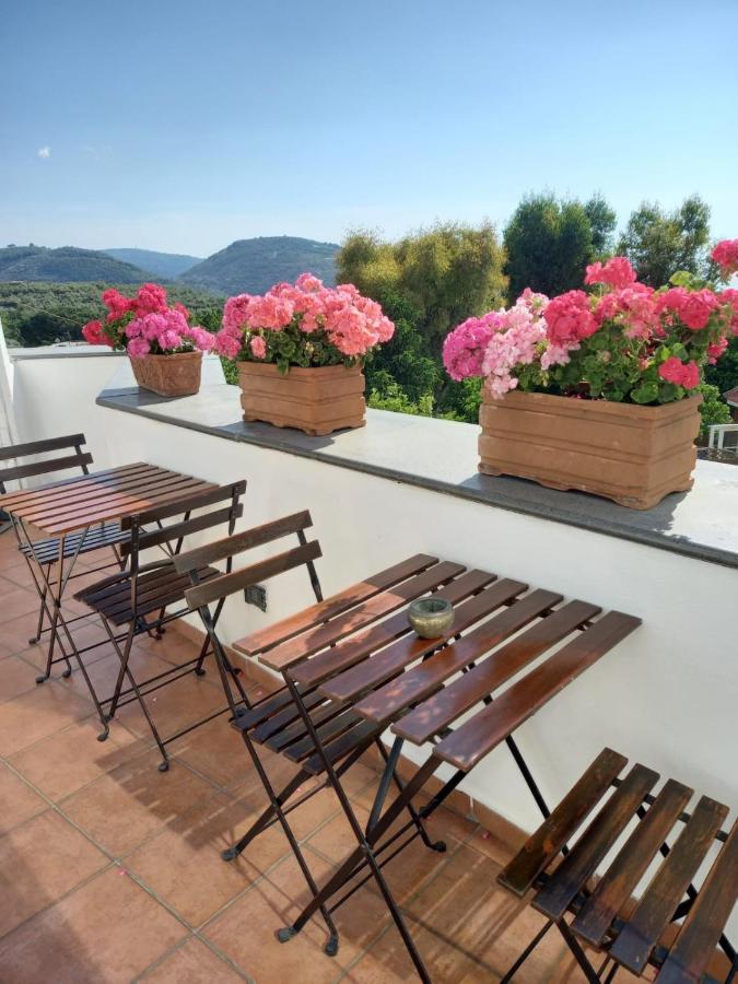 La Casa Del Sole Bed & Breakfast Vico Equense Eksteriør bilde