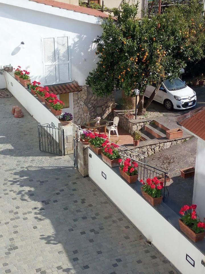 La Casa Del Sole Bed & Breakfast Vico Equense Eksteriør bilde